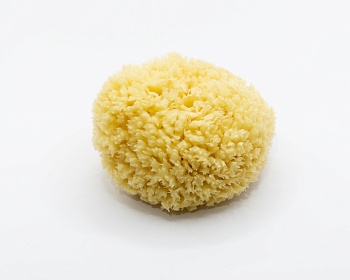 Губка морская Boldrini для декоративных работ